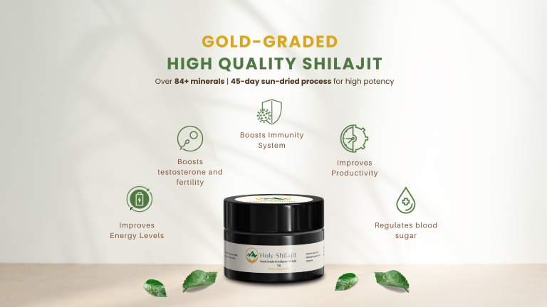 Gold Standard Holy Shilajit